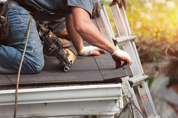 Best Gutter Installation and Roofing  in Lesslie, SC