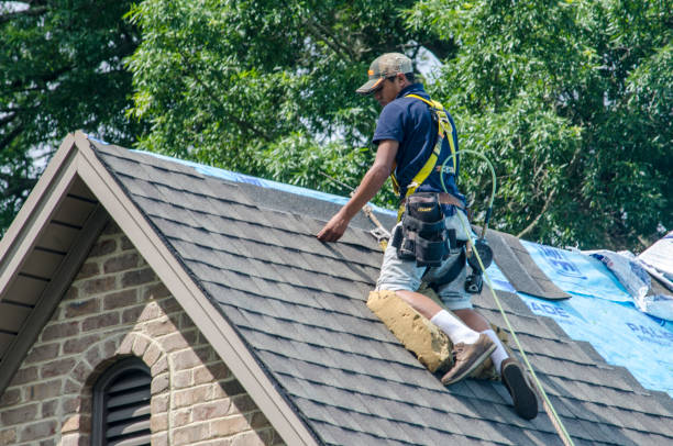 Best Storm Damage Roof Repair  in Lesslie, SC